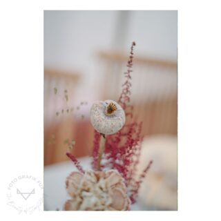 Tolle spätsommerliche Blumendeko bei einer Hochzeit im Wallis. Die schöne Blumen und Dekoration sind von Blüetutröim 
#hochzeit #deko #hochzeitsfotografie #allesistbereit  #weddingday #location #überraschung  #erfreut #fotoreportage #fotografikfux #hochzeitsfotografin #hochzeitwallis